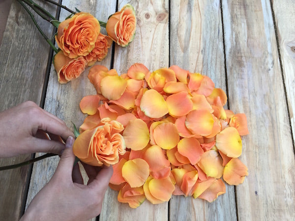 How to DIY Rose Petals